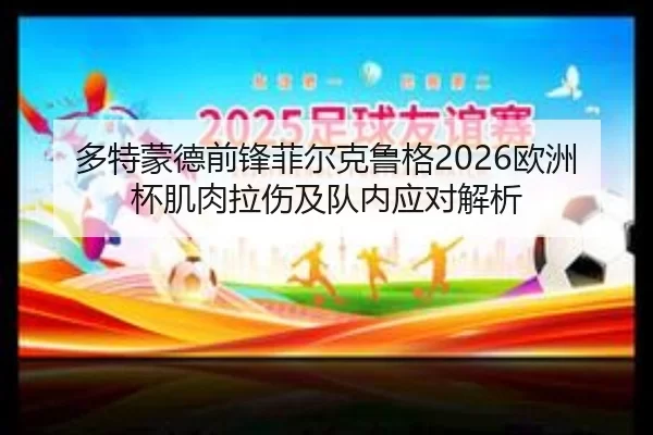 多特蒙德前锋菲尔克鲁格2026欧洲杯肌肉拉伤及队内应对解析